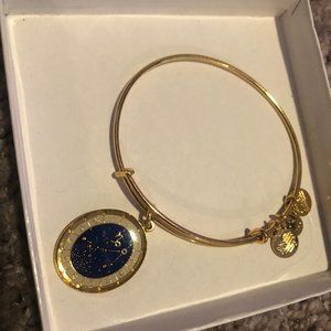 Alex and Ani Capricorn Bracelet